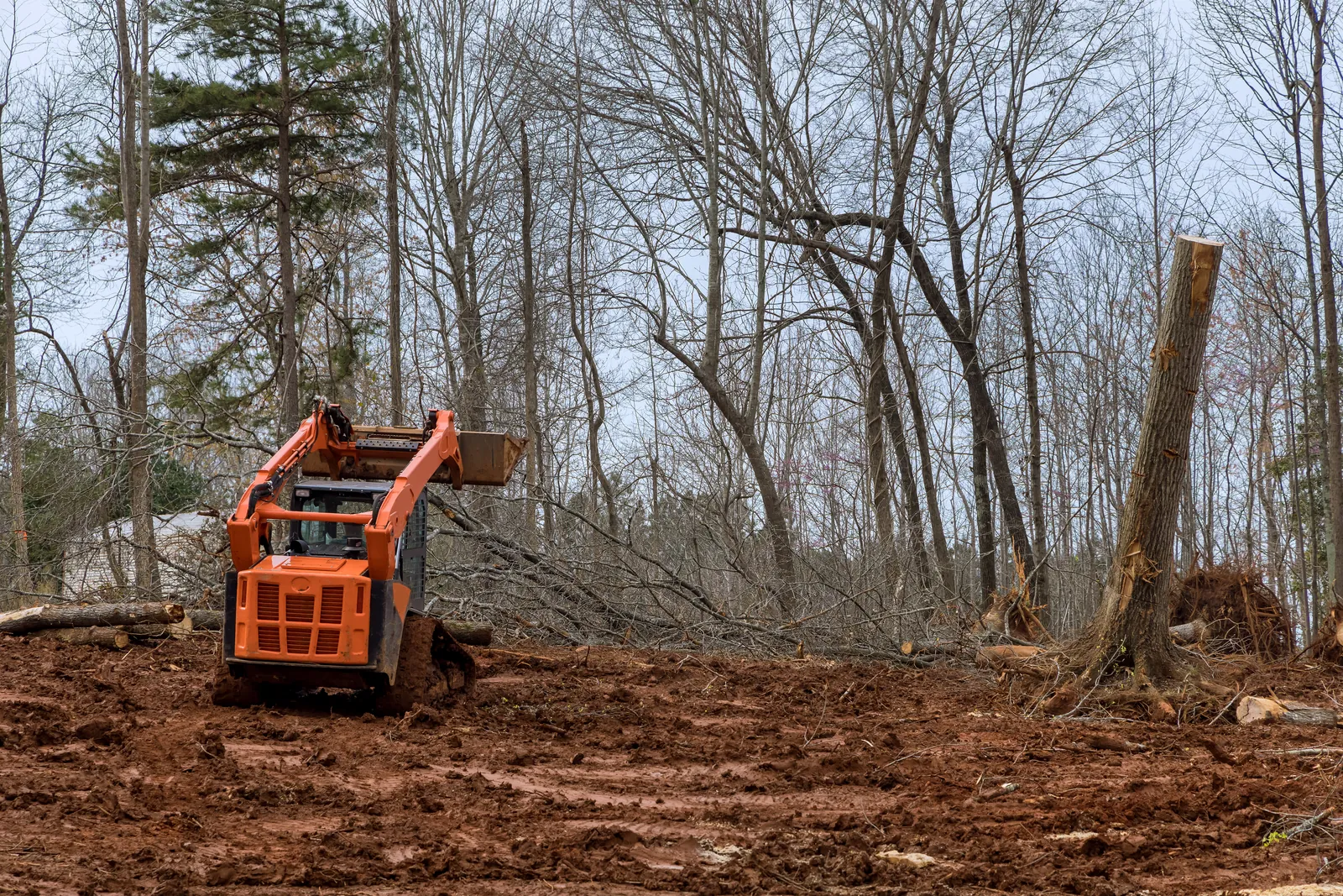 What Does Land Clearing Cost in Cheyenne, WY?